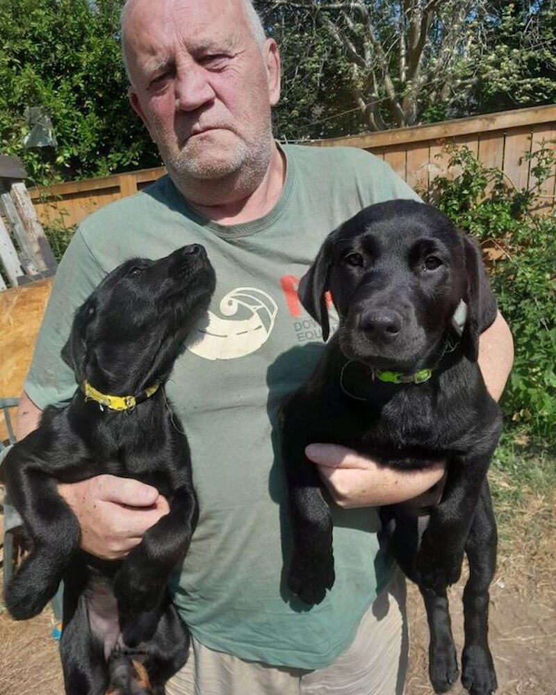 Mr P. van der Poel, owner at Guard Dog Puppies, Kimberley