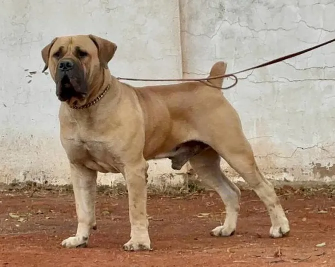 Klein Sandfontein Hunter - photo 1